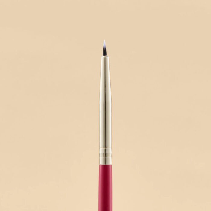 KIT DE BROCHAS SCARLET OJOS X21 PCS - Image 13