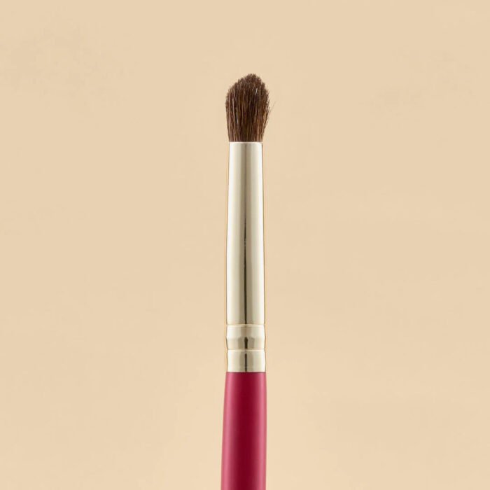 KIT DE BROCHAS SCARLET OJOS X21 PCS - Image 17